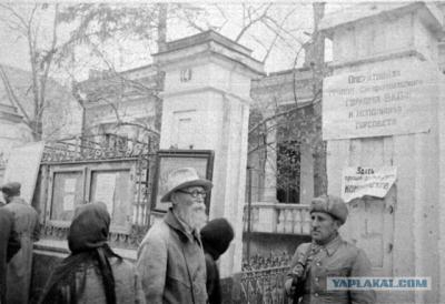 Прикрепленное изображение: 7103087.jpg